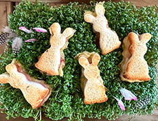 Raclette-Hasentoast auf Kressebeet